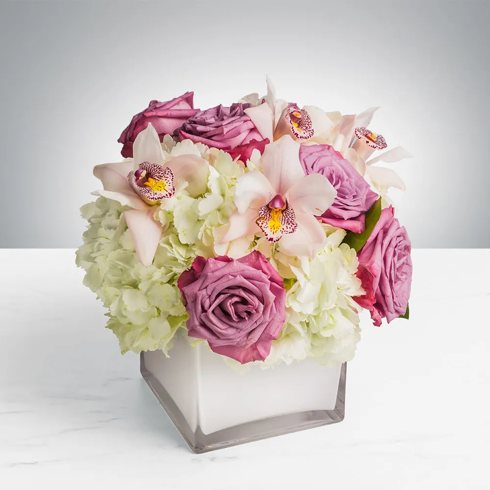 A compact floral arrangement of purple roses, pink orchids, and pale green hydrangeas in a white cube vase on a marble surface