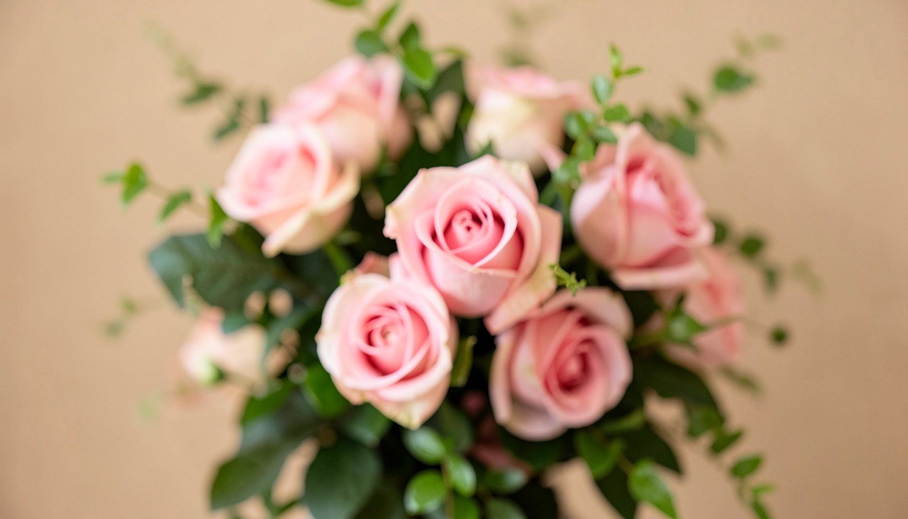 Soft blurred floral arrangement with pink roses and green foliage against a warm neutral background